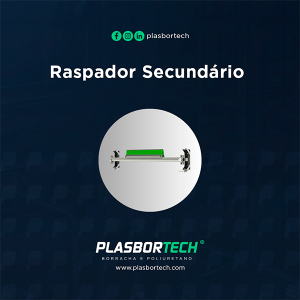 Raspador Secundário