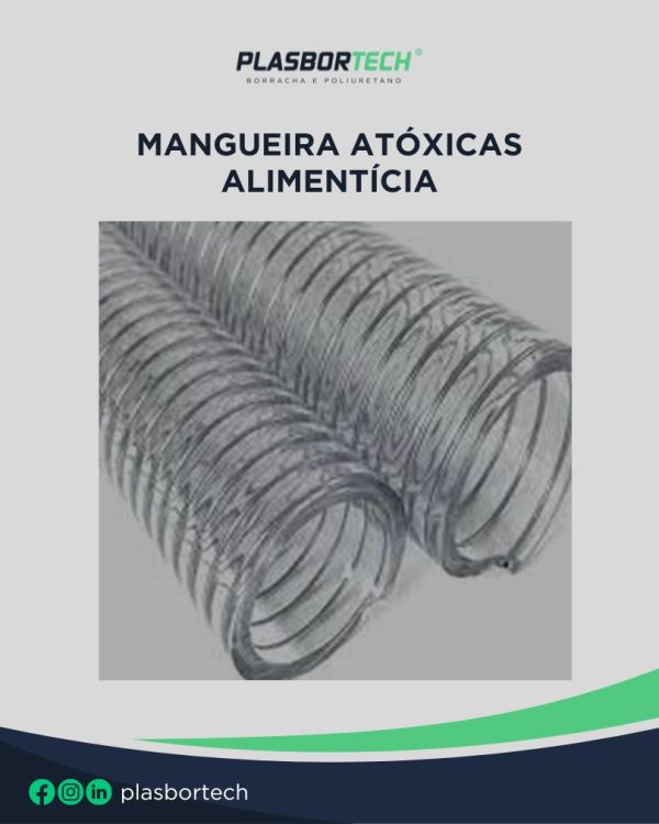 260622 Magueira